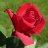 soomro