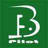 Bulk Pilot v1.2.0 Cracked